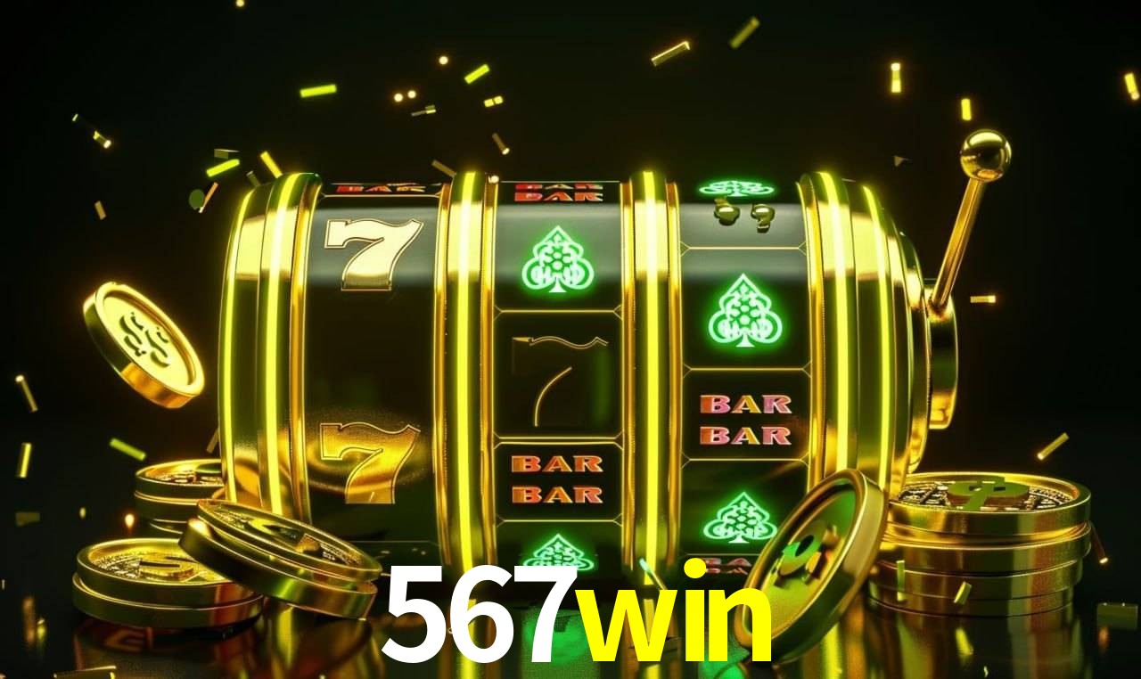 Sistemas de Segurança 567win